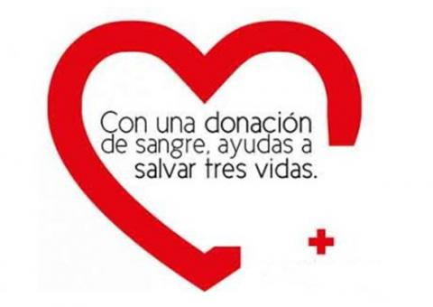 Donación de sangre