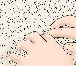 Ilustración en Braille