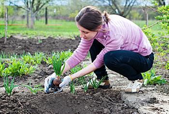 Curso de horticultor