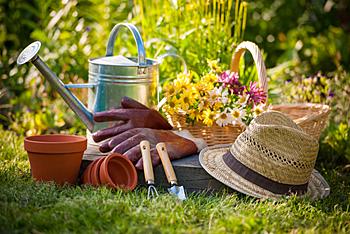 Jardinería